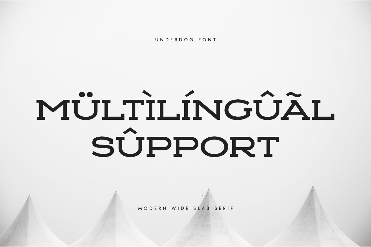 UNDERDOG - Modern Wide Slab Serif UNDERDOG - Modern Wide Slab Serif