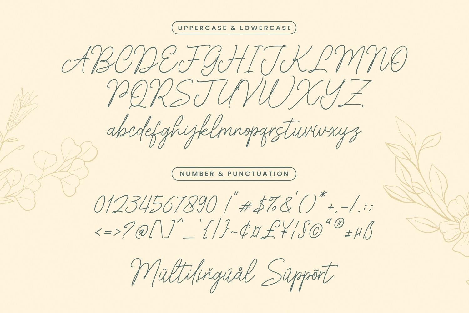 Amirallia Font Amirallia Font