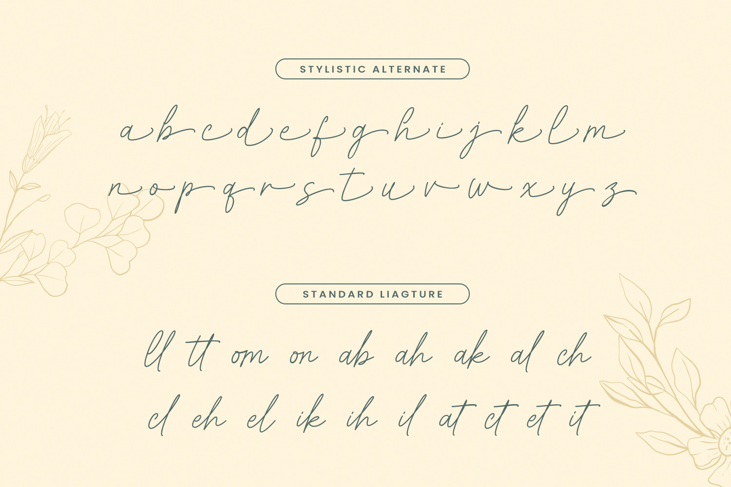Amirallia Font Amirallia Font