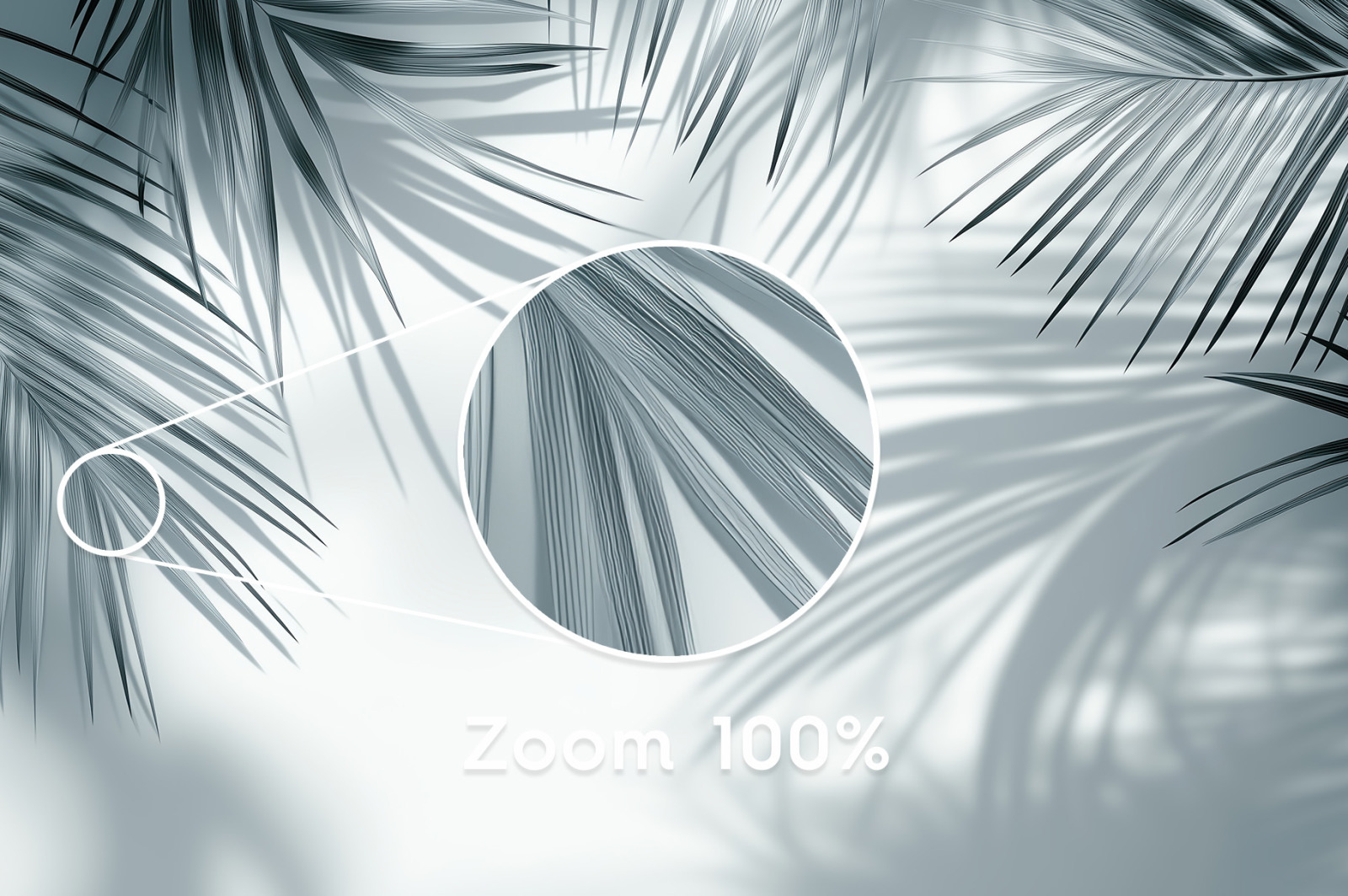 20 Palm Branches Shadows Backgrounds 20 Palm Branches Shadows Backgrounds