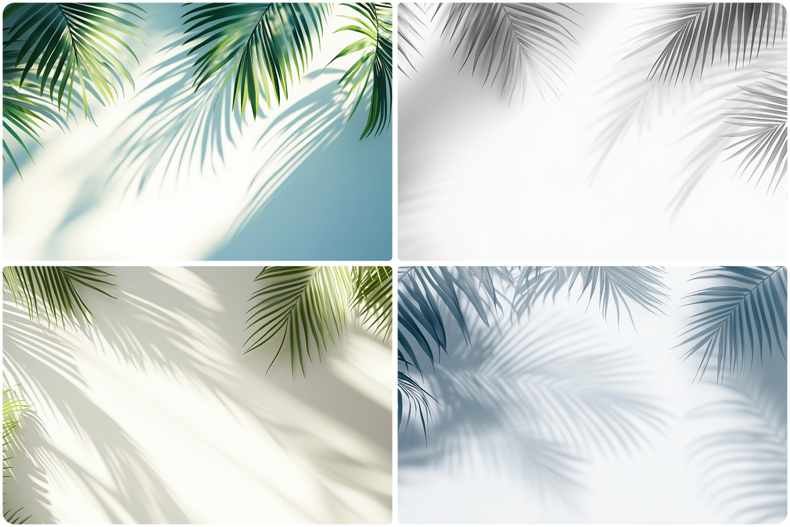 20 Palm Branches Shadows Backgrounds 20 Palm Branches Shadows Backgrounds