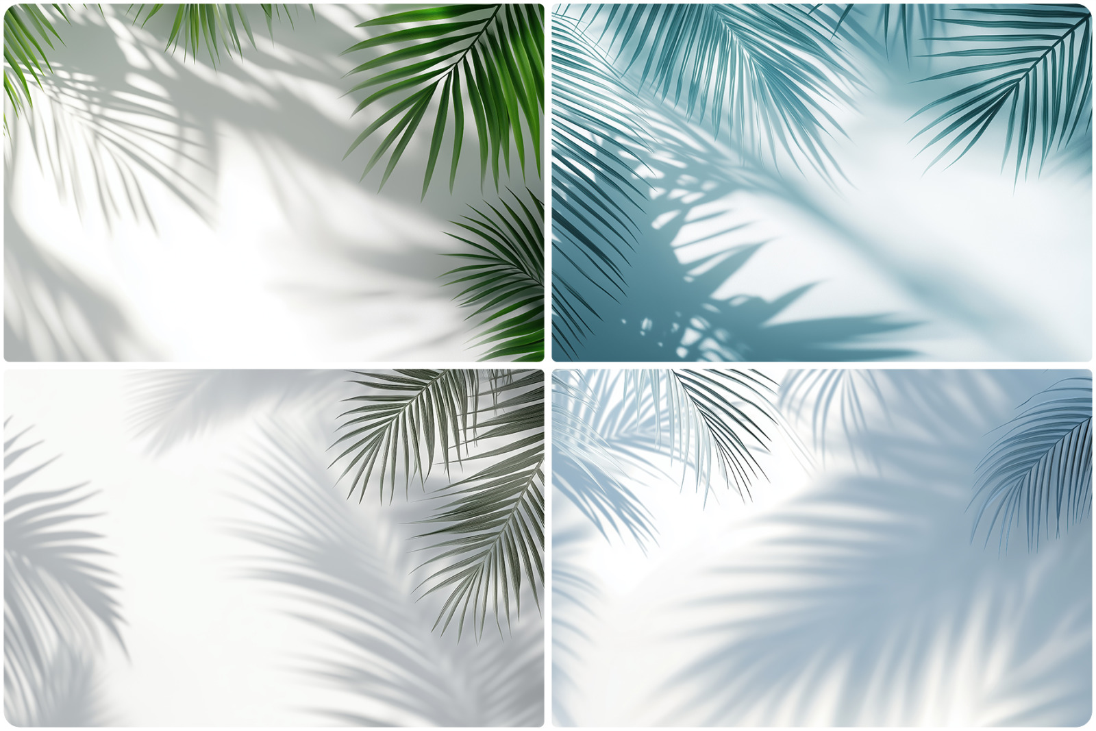 20 Palm Branches Shadows Backgrounds 20 Palm Branches Shadows Backgrounds