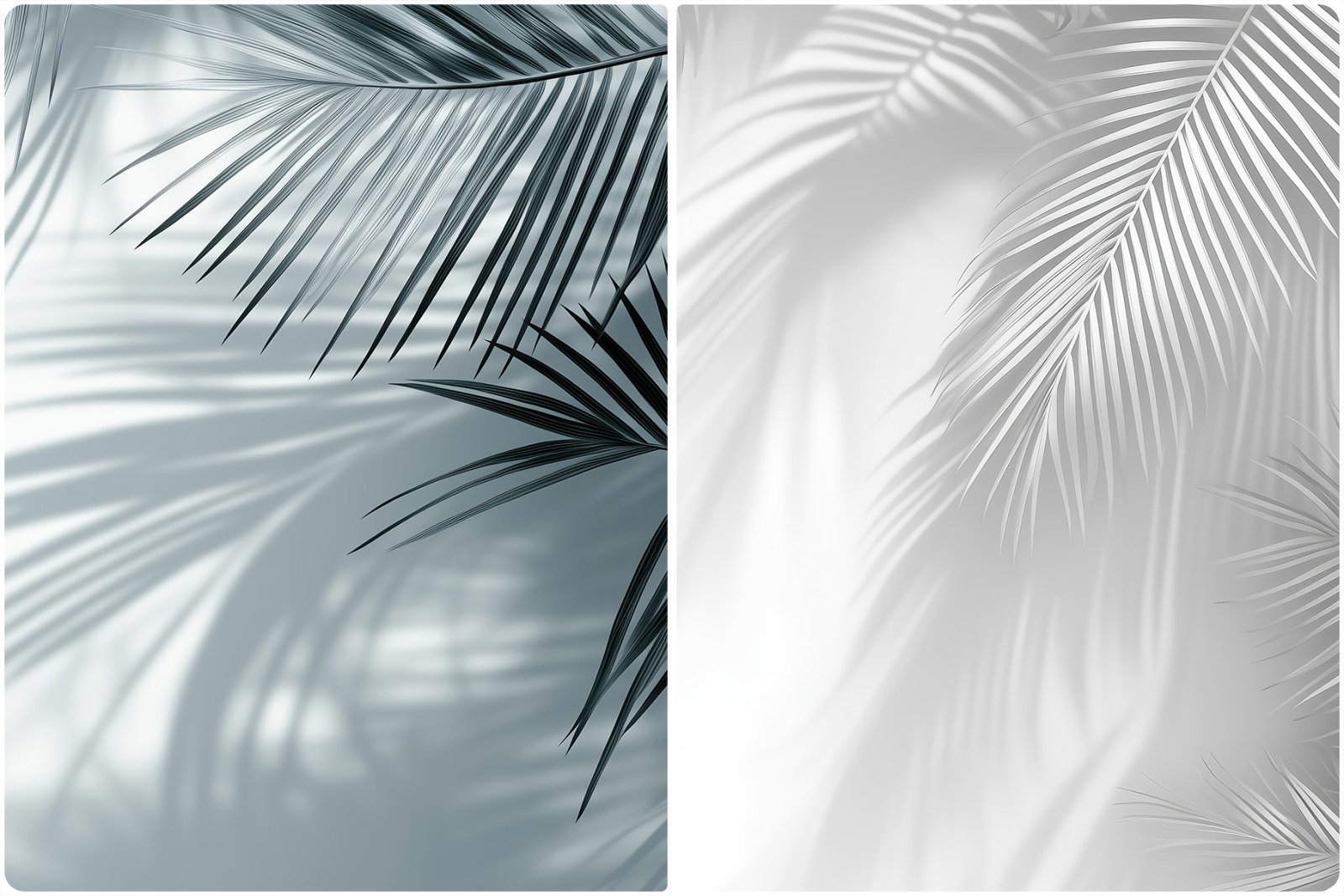 20 Palm Branches Shadows Backgrounds 20 Palm Branches Shadows Backgrounds
