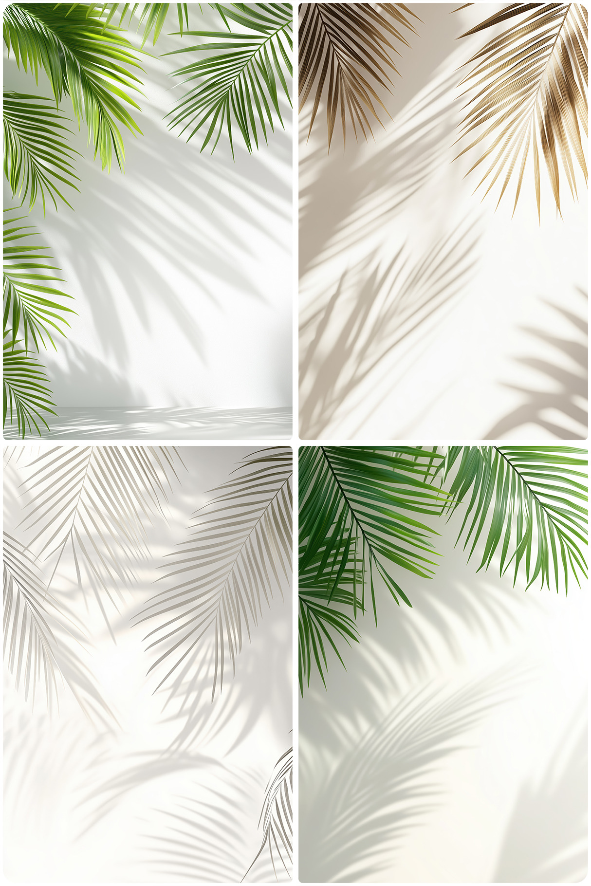 20 Palm Branches Shadows Backgrounds 20 Palm Branches Shadows Backgrounds