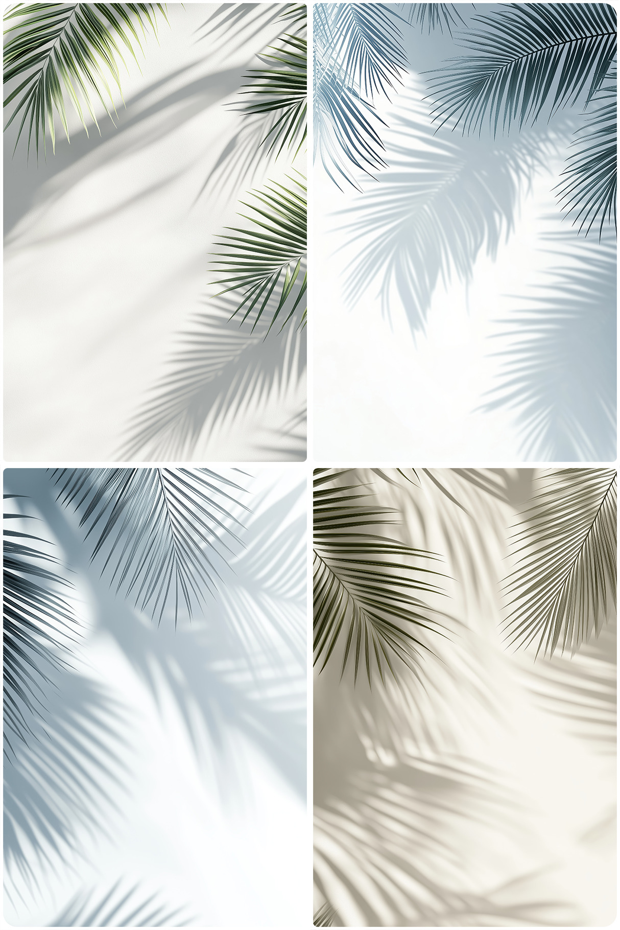 20 Palm Branches Shadows Backgrounds 20 Palm Branches Shadows Backgrounds