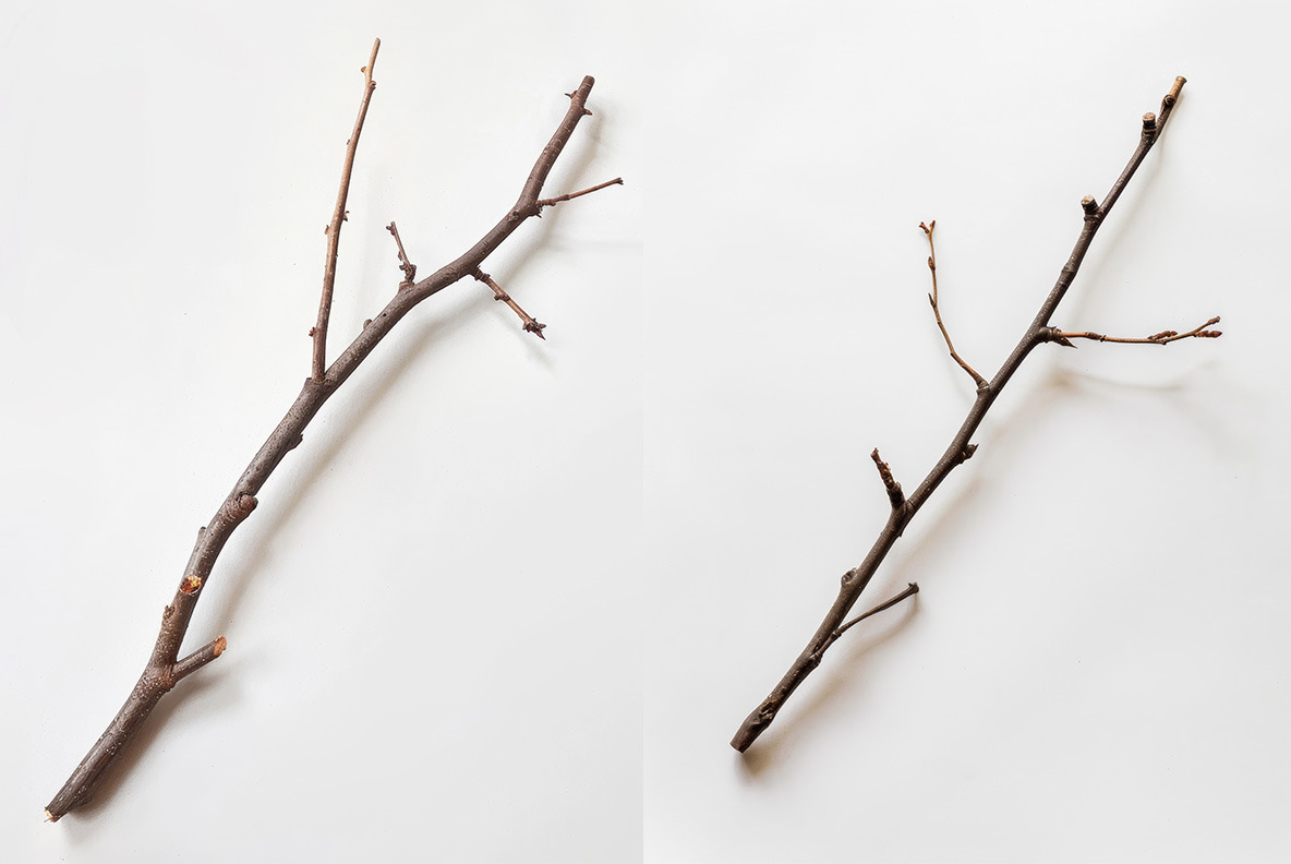 Wood - 163 images Wood - 163 images