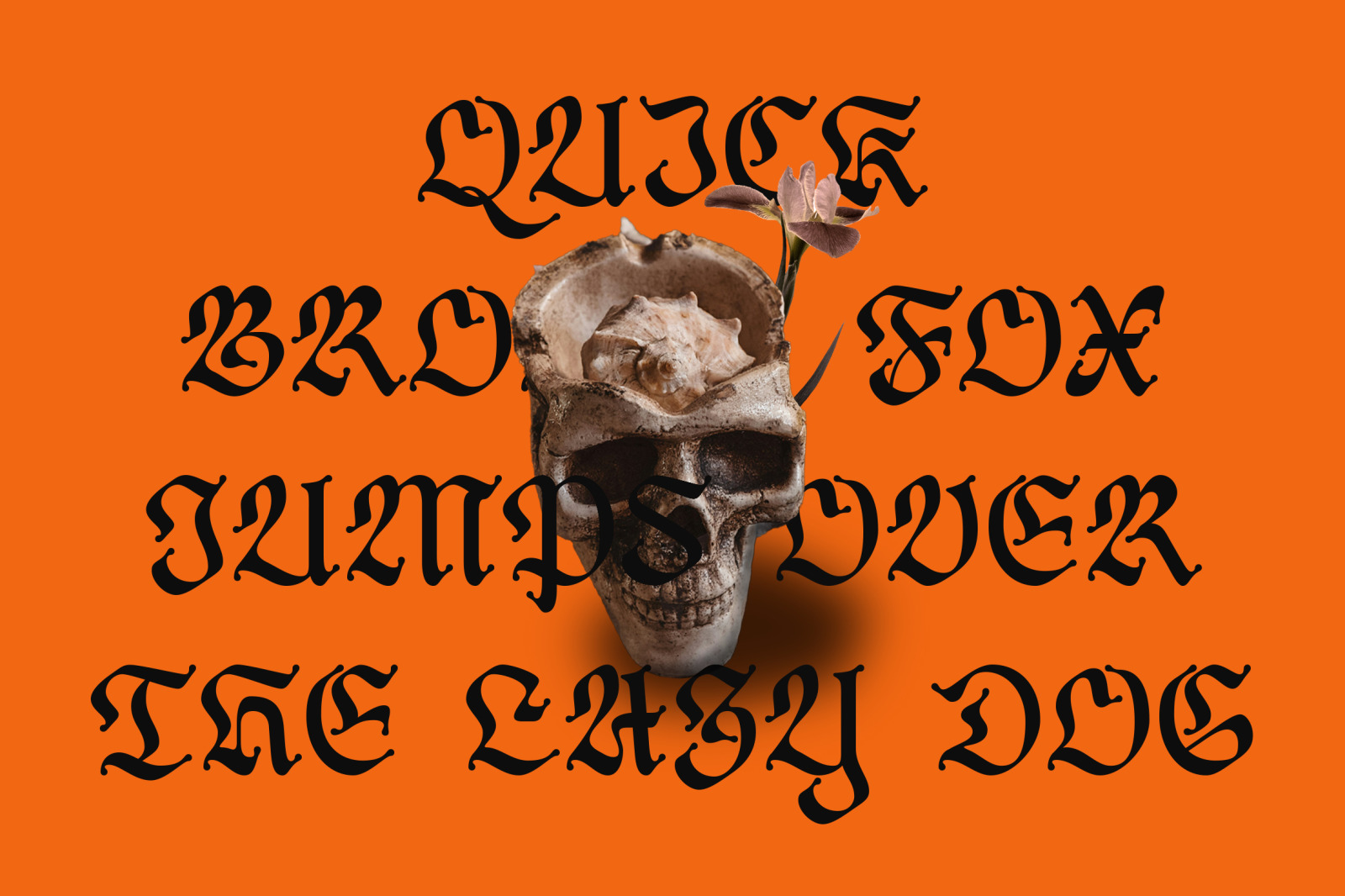 DT Forsaken Blackletter DT Forsaken Blackletter