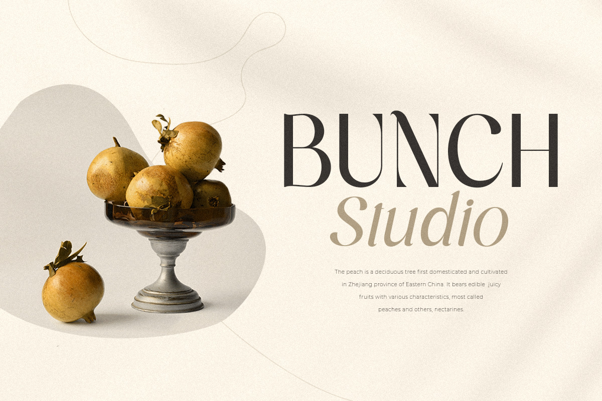 Bandaneira – Modern Stylish Duo Font Bandaneira – Modern Stylish Duo Font