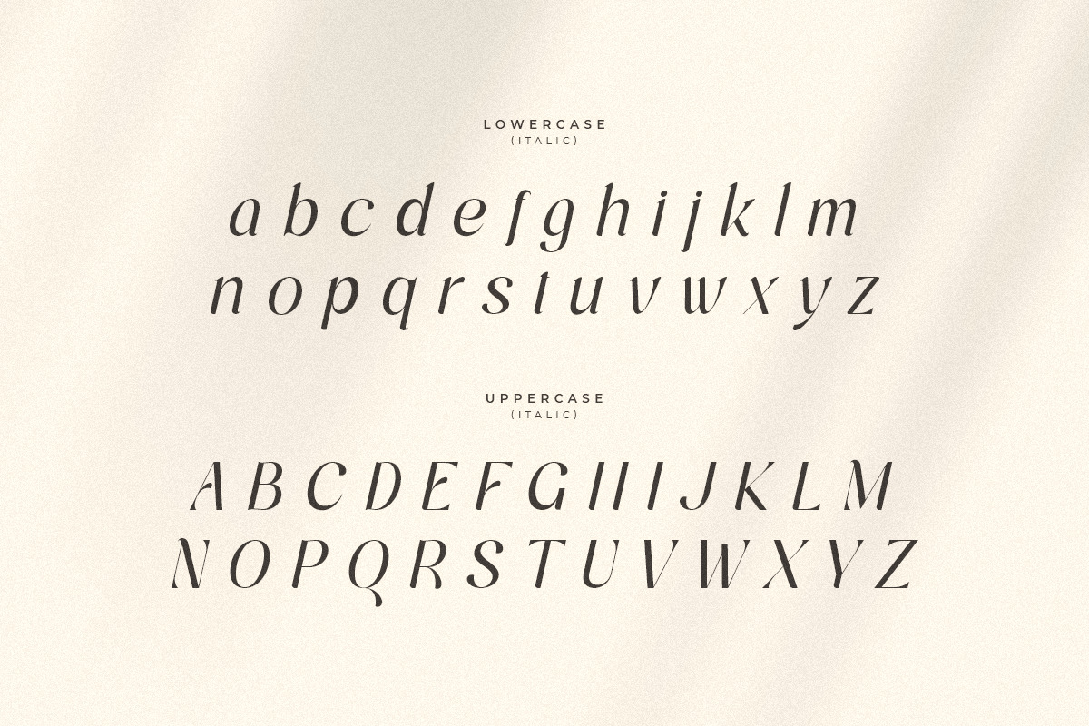 Bandaneira – Modern Stylish Duo Font Bandaneira – Modern Stylish Duo Font