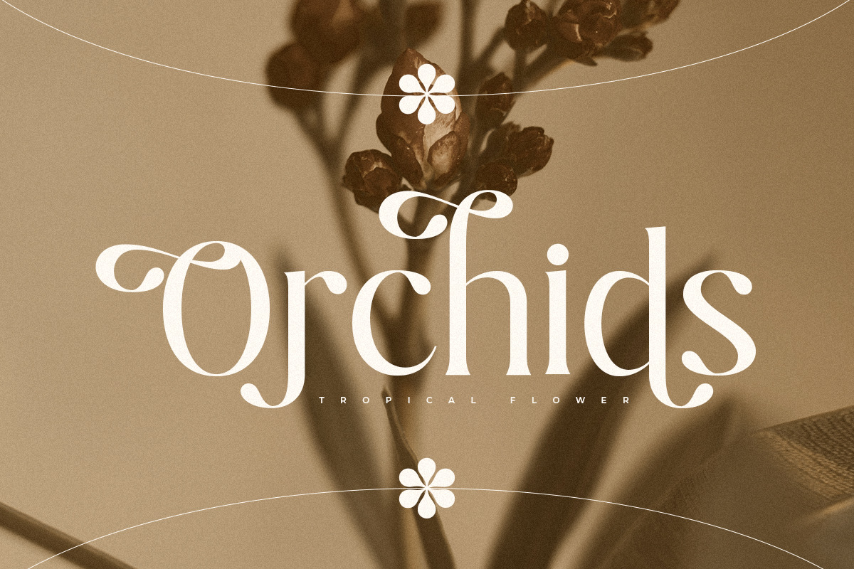 Ralita - Modern Feminine Curly Font Ralita - Modern Feminine Curly Font