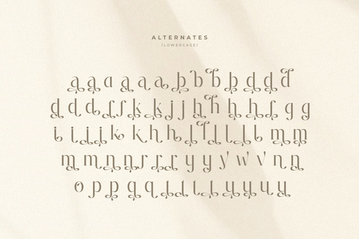 Ralita - Modern Feminine Curly Font Ralita - Modern Feminine Curly Font