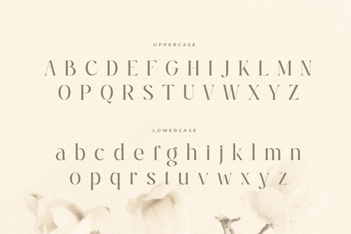 Ralita - Modern Feminine Curly Font Ralita - Modern Feminine Curly Font
