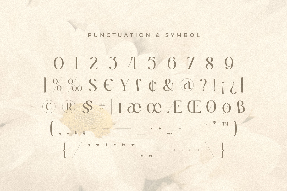 Ralita - Modern Feminine Curly Font Ralita - Modern Feminine Curly Font