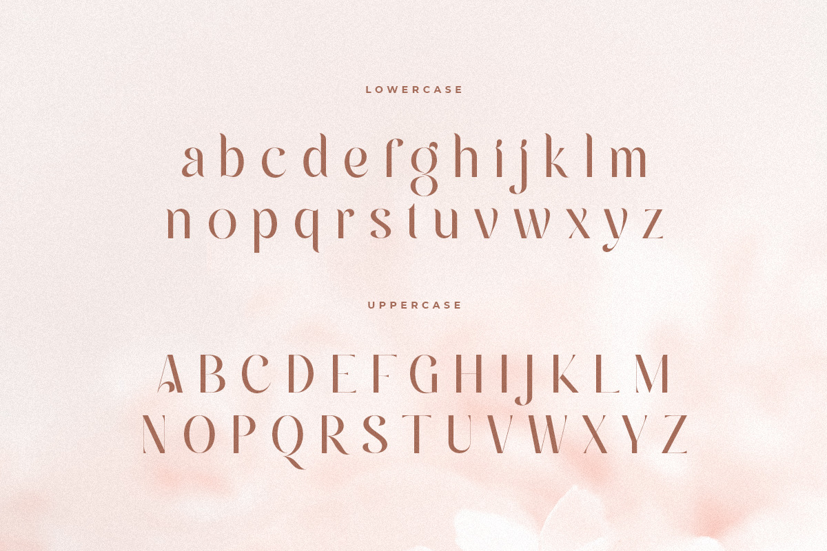 Andara - Luxury Classy Love Font Andara - Luxury Classy Love Font