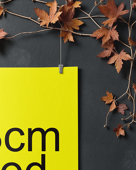 Poster on a Wall with Branches and Pumpkins Mockup