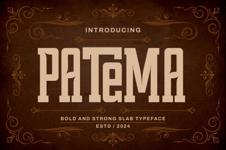 Patema - Slab Serif Condensed Font - Font for branding