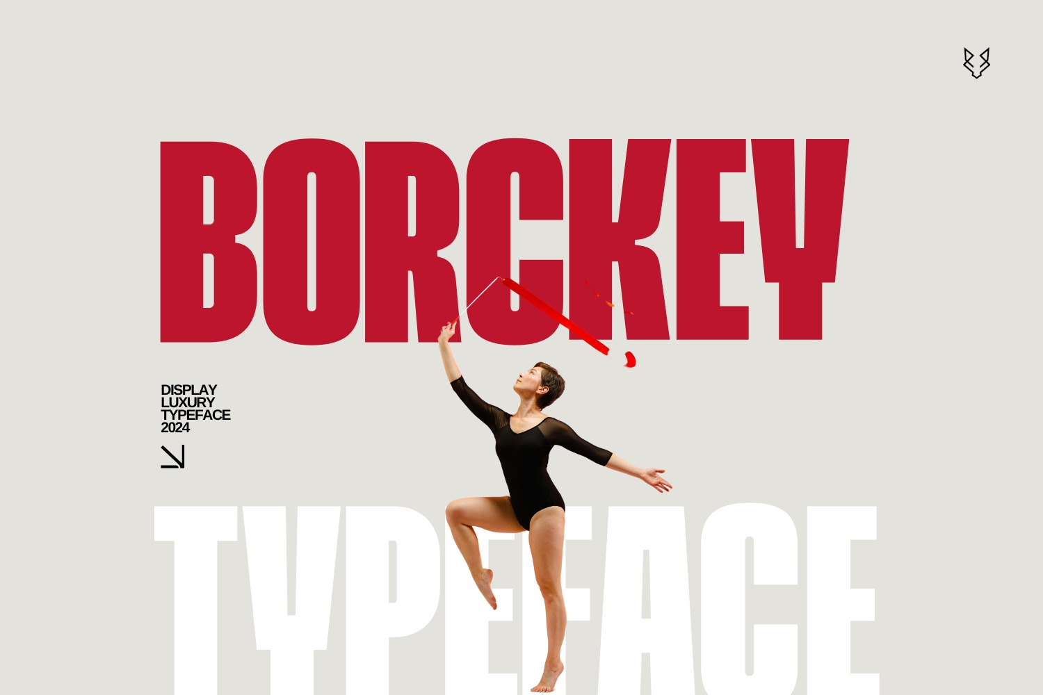 Borckey Display Font Borckey Display Font
