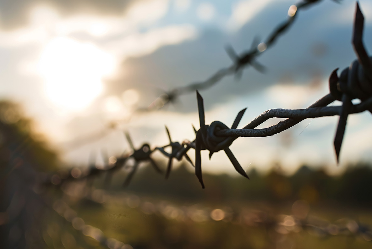 Barbed wire Barbed wire