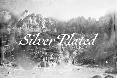 Silver Plated Photo Effect - Noir