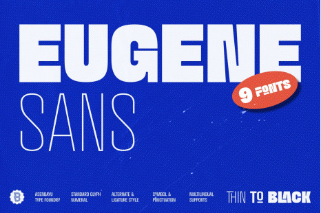 Eugene Sans - Modern Grotesque Sans Serif Fonts - Geometric font