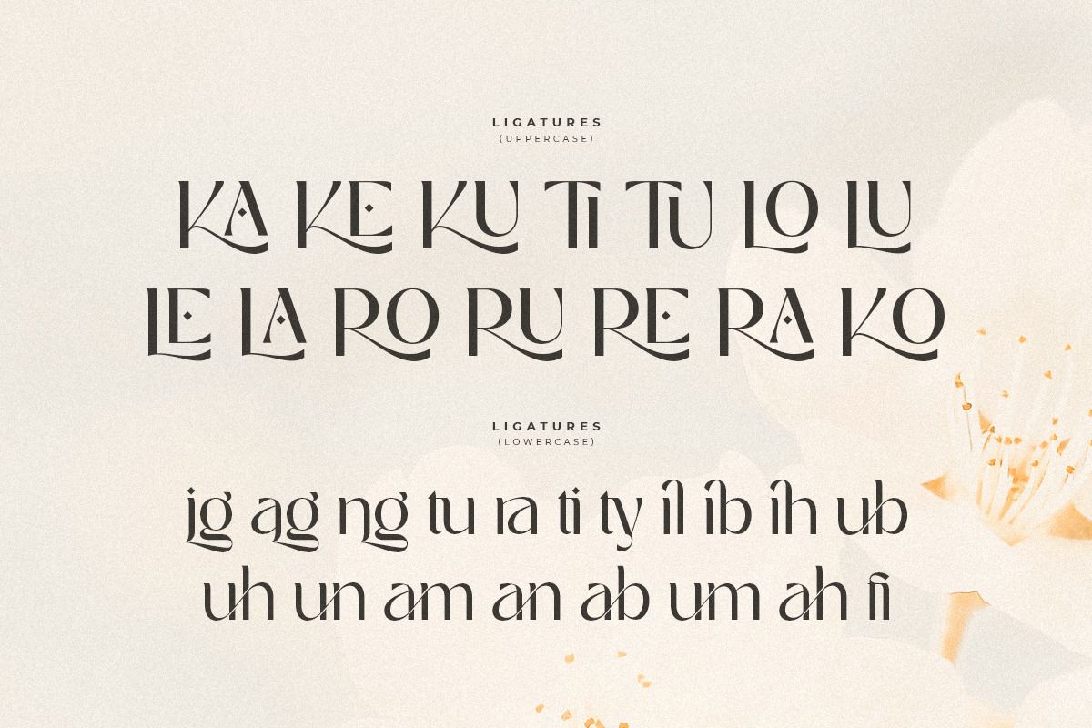 Mighty - Luxury Glamour Beauty Font Mighty - Luxury Glamour Beauty Font