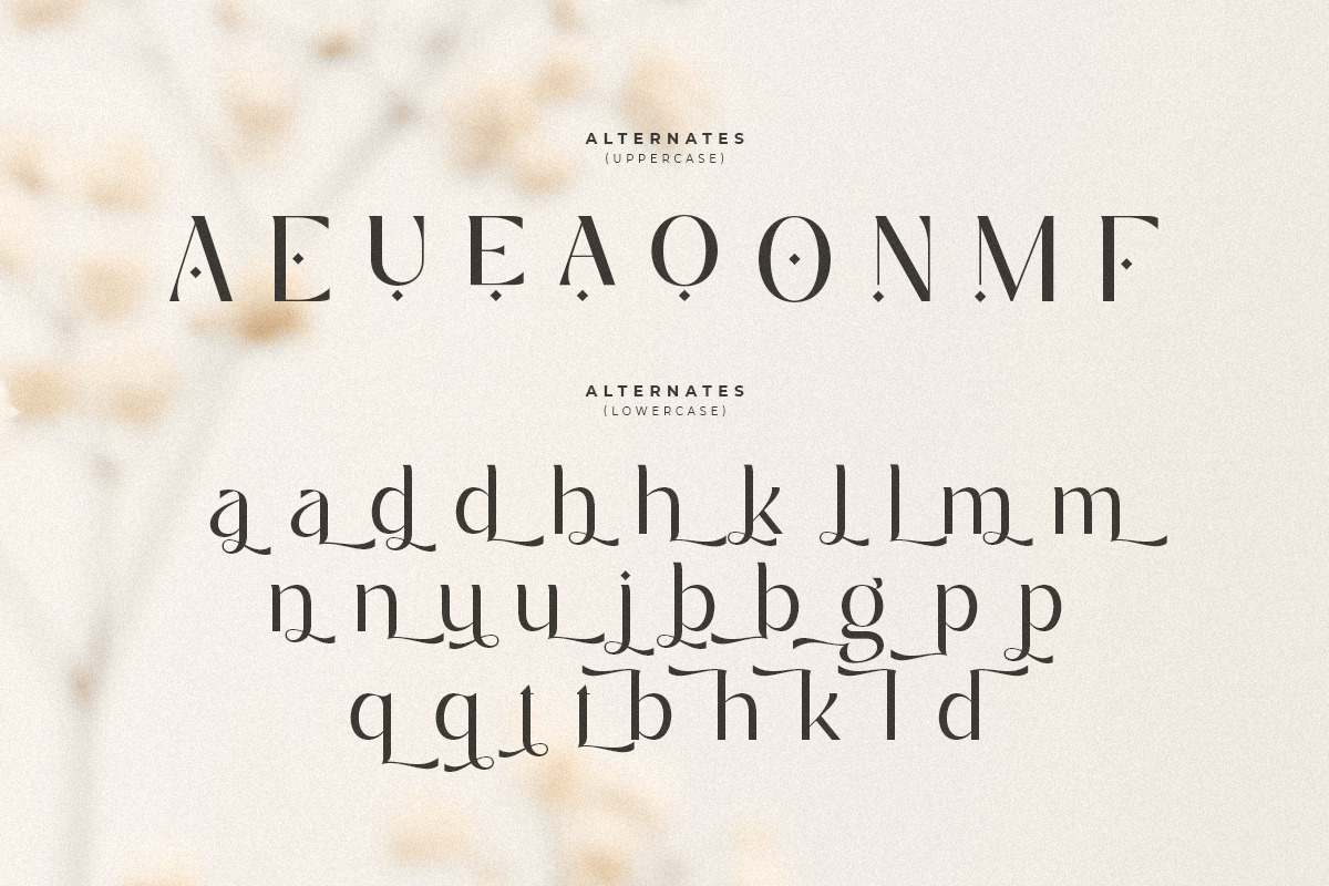 Mighty - Luxury Glamour Beauty Font Mighty - Luxury Glamour Beauty Font
