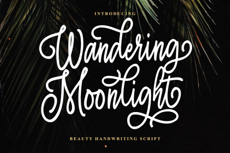 Wandering Moonlight Font - Canva font