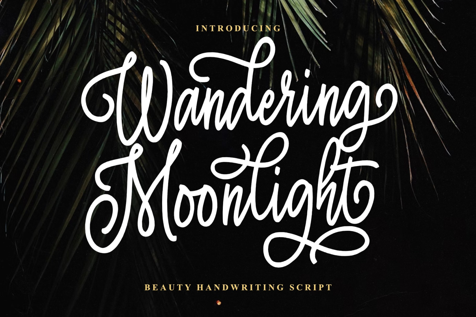 Wandering Moonlight Font Wandering Moonlight Font