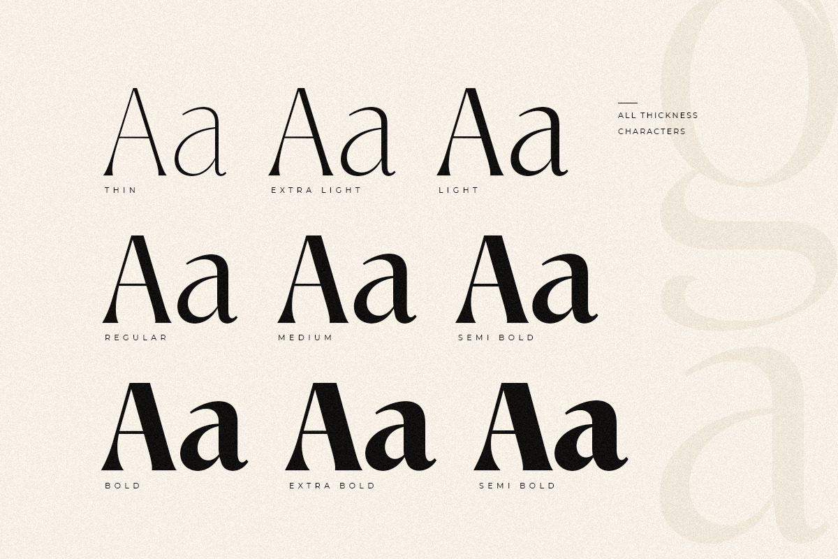 Manila Font - Modern Elegant Serif Font