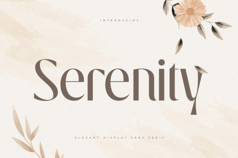 Serenity - Luxury Elegant Beauty Font - Fancy font