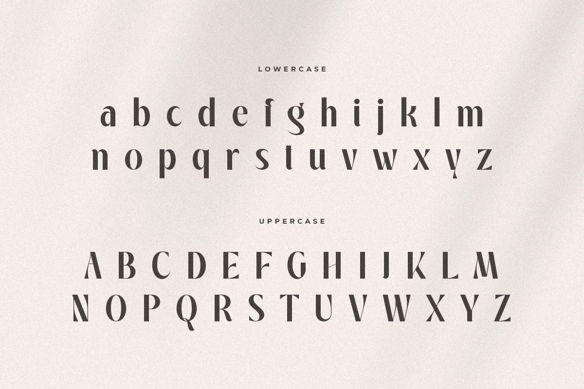 Manyfit - Classy Elegant Luxury Font Manyfit - Classy Elegant Luxury Font