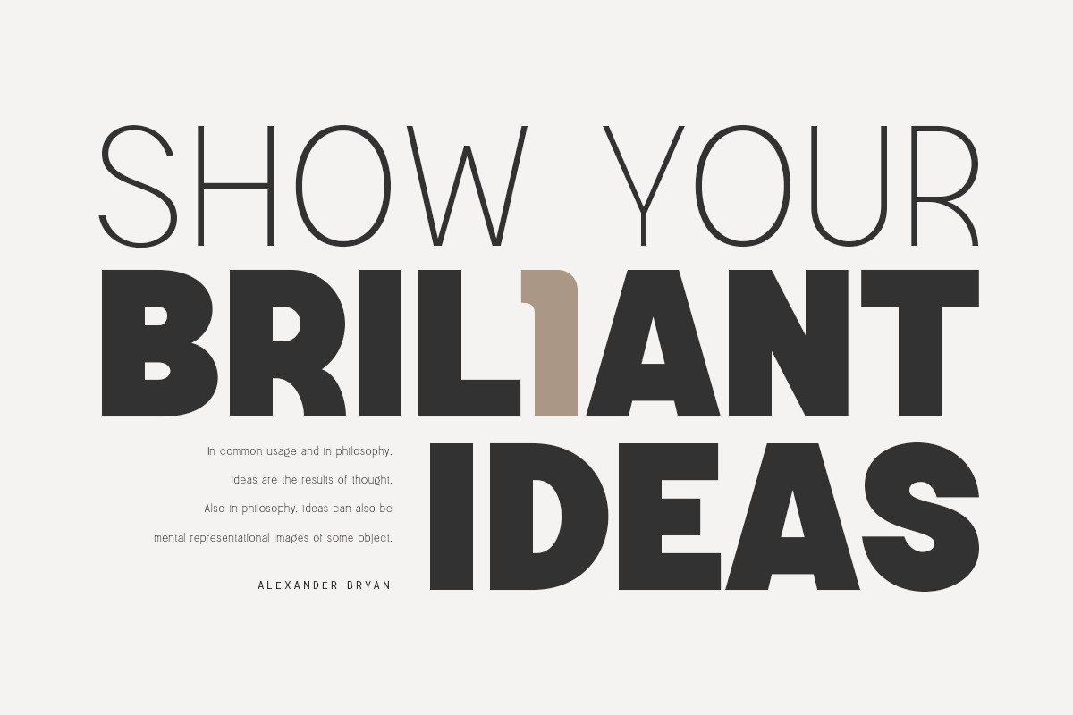 Magnetic Modern Sans Serif Family