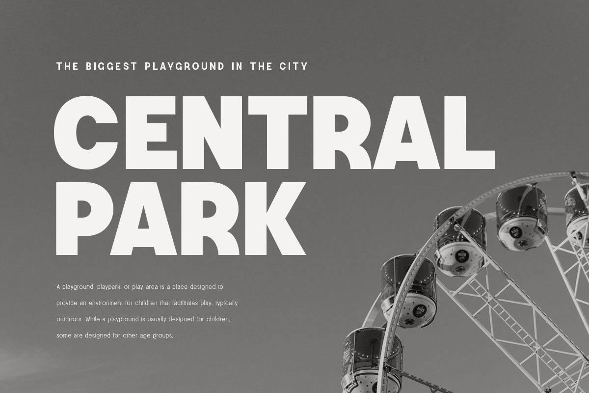 Magnetic Modern Sans Serif Family