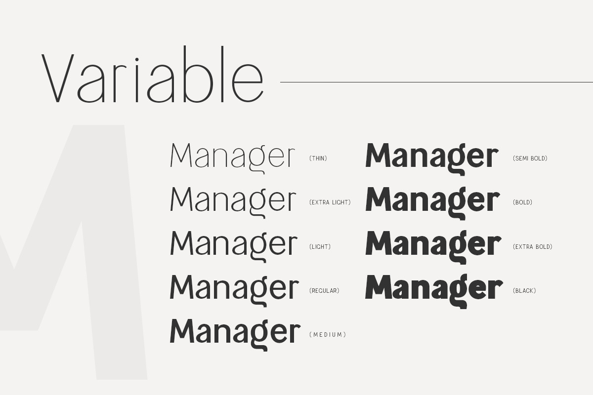 Magnetic Modern Sans Serif Family