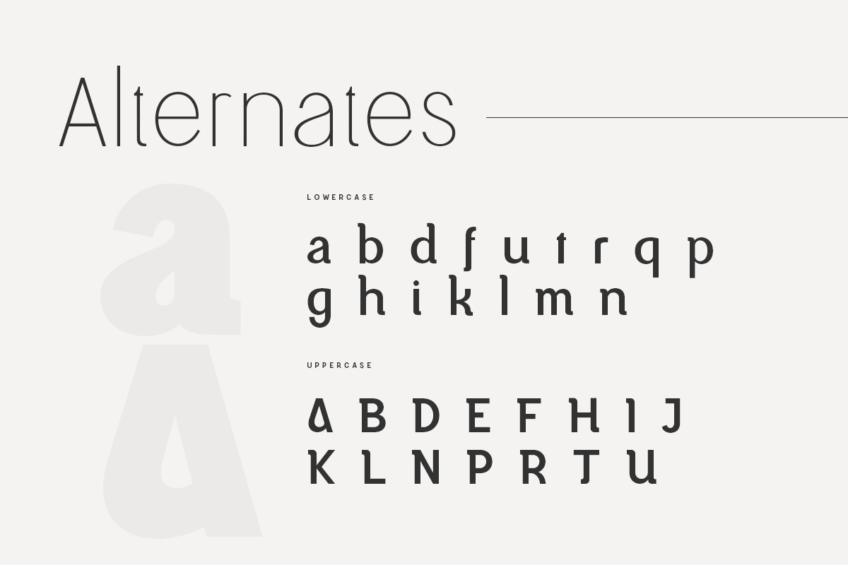 Magnetic Modern Sans Serif Family