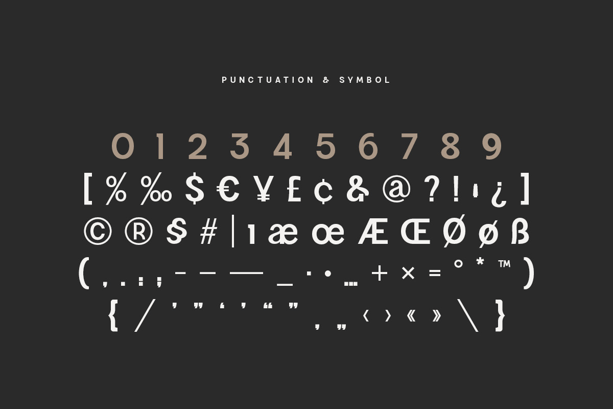 Magnetic Modern Sans Serif Family