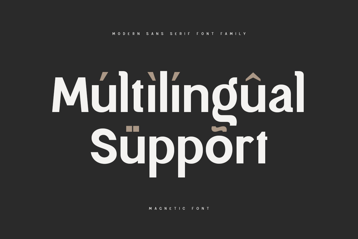 Magnetic Modern Sans Serif Family