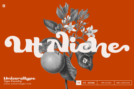 UT Niche - A Groovy Bold Script Font - Nostalgic