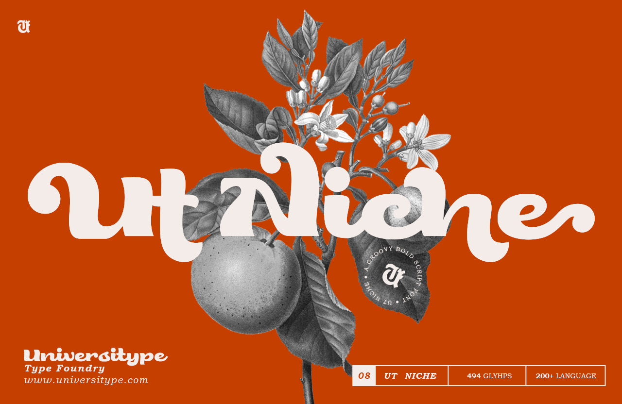 UT Niche - A Groovy Bold Script Font UT Niche - A Groovy Bold Script Font
