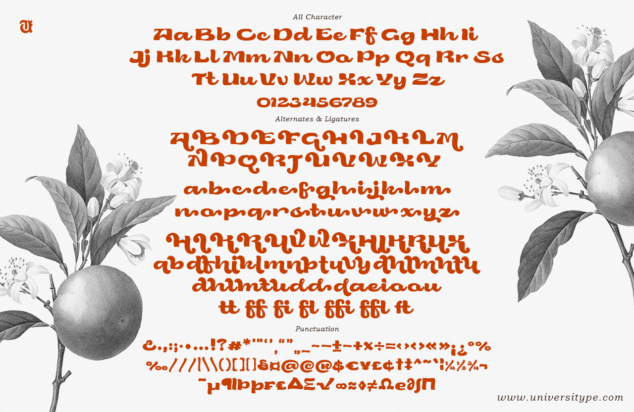 UT Niche - A Groovy Bold Script Font UT Niche - A Groovy Bold Script Font