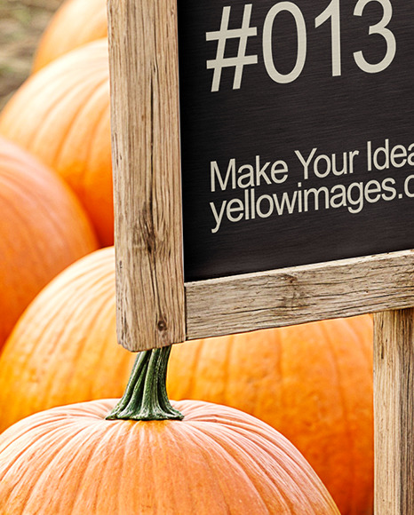 Boy Standing Next to Wooden Framed Sign at Pumpkin Patch Mockup