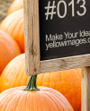 Boy Standing Next to Wooden Framed Sign at Pumpkin Patch Mockup