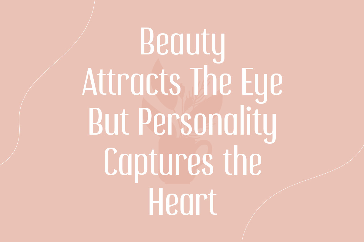 Influencer - Feminine Beauty Sans Serif Influencer - Feminine Beauty Sans Serif