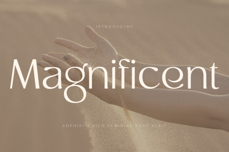 Magnificent - Modern Feminine Vintage Font - Magazine fonts