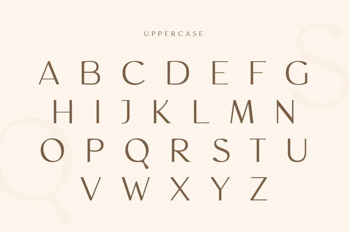 Magnificent - Modern Feminine Vintage Font