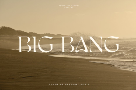 Big Bang - Feminine Elegant Serif - Brand logo