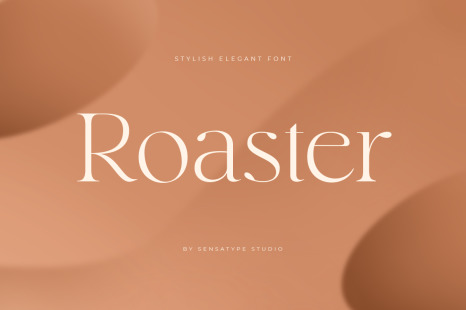 Roaster - Stylish Elegant Font - Elegant logo