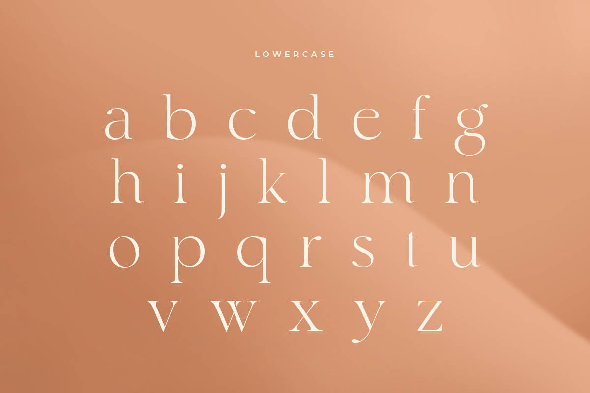 Roaster - Stylish Elegant Font Roaster - Stylish Elegant Font