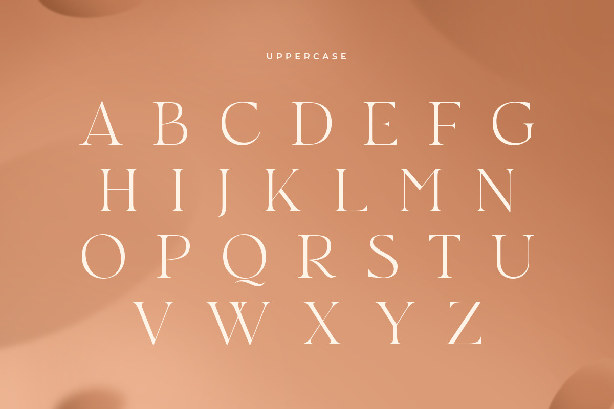 Roaster - Stylish Elegant Font Roaster - Stylish Elegant Font