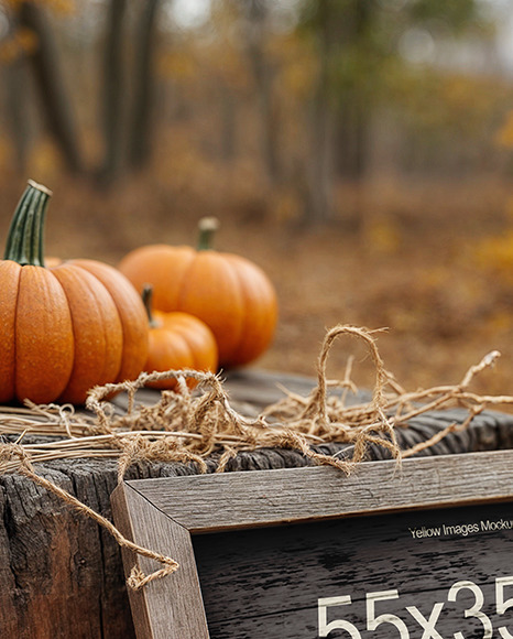 Wooden Framed Sign at Pumpkin Patch Mockup